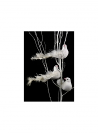 7in White Dove with Pearl Accents, Set of 12