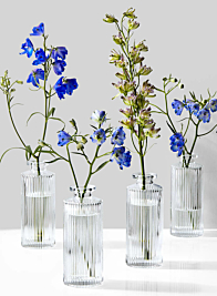 Clear Pleated Glass Bottle Bud Vase, Set of 4