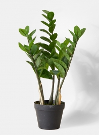zanzibar gem fake artificial plant in pot