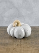 Porcelain White Wash Pumpkins