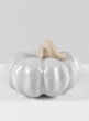 Porcelain White Wash Pumpkins