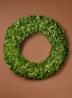 24in Preserved Boxwood Wreath