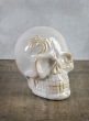 Dexter's White Porcelain Skull