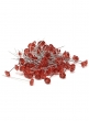 OASIS Lomey 2in Red Diamante Pins, Set of 100