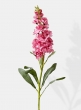 31in Pink Snapdragon
