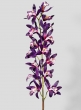 41in Deep Purple Dendrobium Orchid