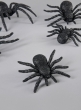 Assorted Black Spider, Set of 5