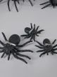 Assorted Black Spider, Set of 5