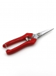 7 1/2in Red Floral Scissors