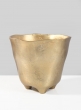 6in Casablanca Gold Vase