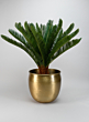 Devdas Brass Look Aluminium Indoor Garden Pot, Large