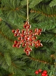 Acrylic Red Stone Hanging Snowflake