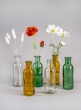 Clear Glass Bottle Bud Vase, Set of 6