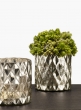 diamond mercury glass vase thistle arrangement
