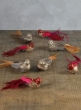 Decorative Red Bird, Set of 4