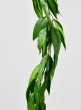 74in Long Leaf Eucalyptus Garland