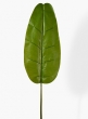 56in Banana Leaf