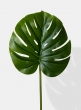 26in Real Touch Monstera Leaf