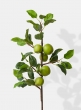 36in Green Apple Branch