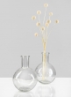 Clear Deco Glass Vase, Set of 2