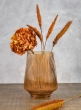 9in Tropez Amber glass vase