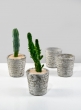 3in Stone Wall Aged Planter, Set of 4