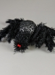 12in Hairy Black Spider