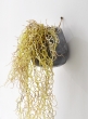 potted-artificial-moss-hanging-plant