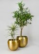 Madurai Brass Look Aluminium Indoor Garden Pot, Large