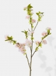 38in Cream Sakura Branch