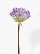 34in Purple Allium