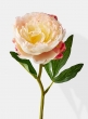 cream peony wedding flowers