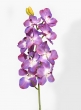31in Purple Vanda Orchid