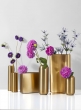Bretagne Matte Gold Steel Cylinder Vase, 6in H