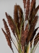 27 1/2in Burgundy Setaria/Onion Grass Bundle