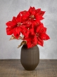 26in Red Poinsettia Spray