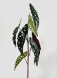 28in Scarlet Begonia Leaf Spray