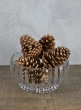 Large Golden Pinecone, Set of 6