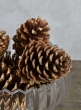 Large Golden Pinecone, Set of 6