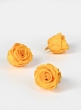 Preserved gracious Yellow Rose, Set of 6