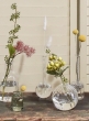 6 ½in Optical Glass Cylinder Bud Vase, Set of 6