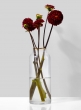 Gold Rim Glass Bottle Vase,  9in H