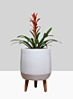 16 ½in Breakers Matte White Ceramic Planter With Wood Legs