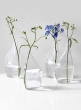6 ½in Flat Bottle Vase, Set of 4