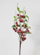 30in Red Cherry Branch