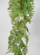 44in Rooted Rainforest Fern Hanging