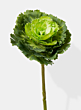 15in Green Ornamental Cabbage Pick