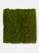 16in Square Flocked Moss Mat