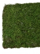 36in Leaf & Moss Mat