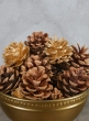 Bag of Assorted 18 Pinecones